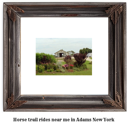 horse trail rides near me in Adams, New York